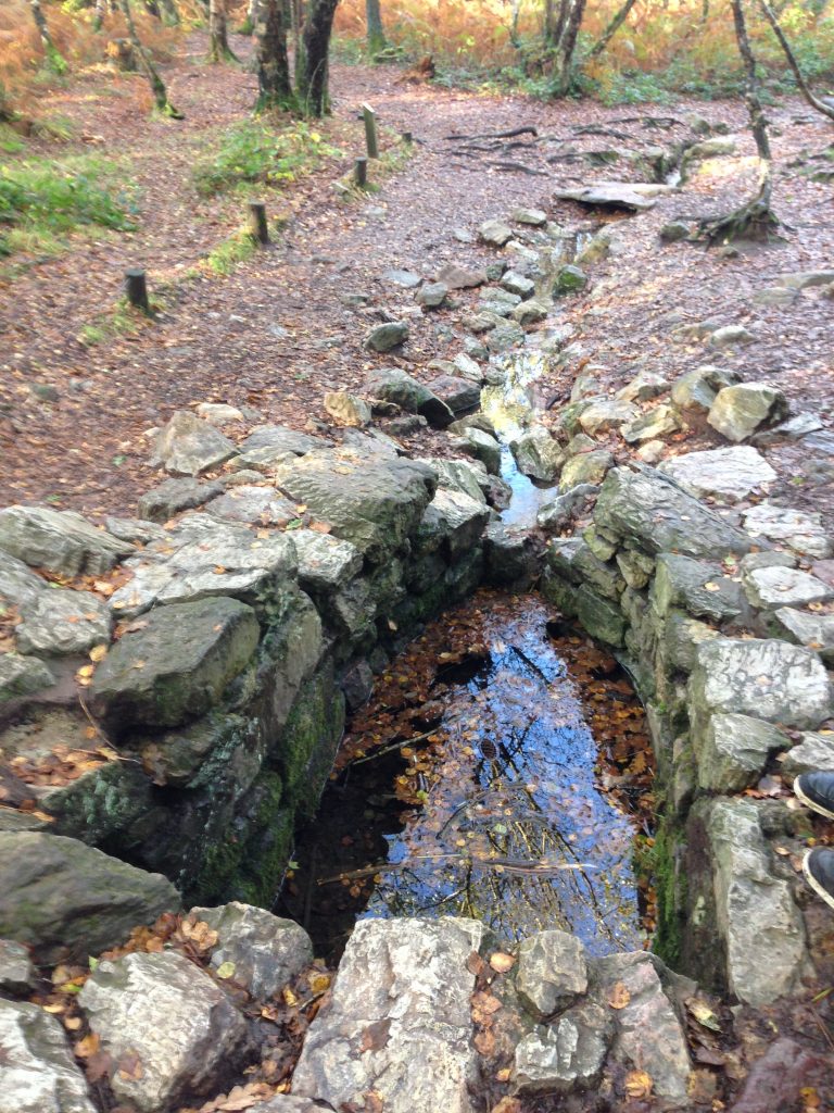 Fontaine de Barenton brocéliande