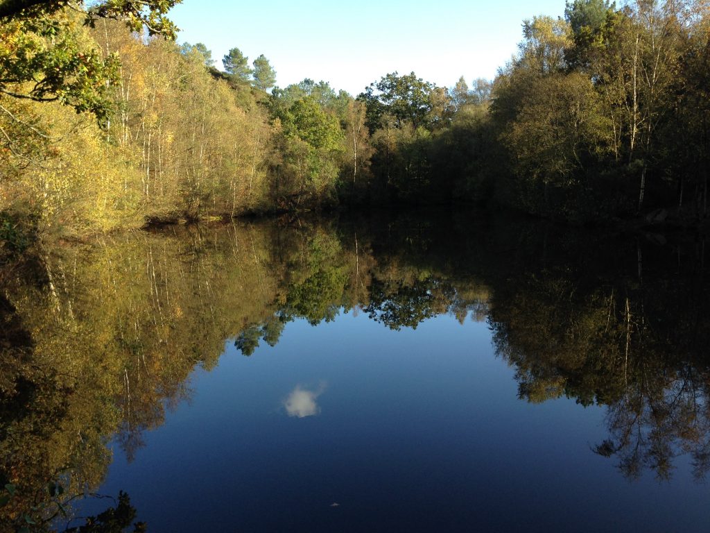 Val sans Retour brocéliande