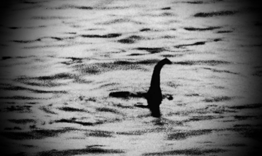 Le Monstre du Loch Ness : Mythe ou réalité ?